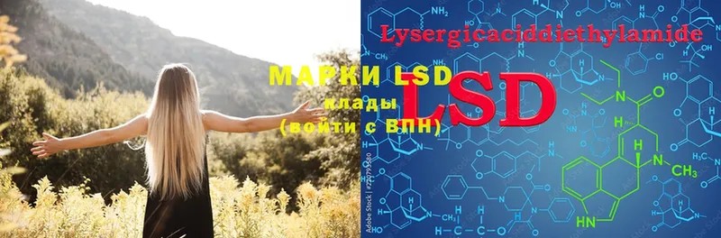 MEGA   Новодвинск  LSD-25 экстази ecstasy 